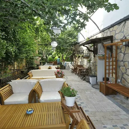Caglar My Hause トゥルグトレイス
